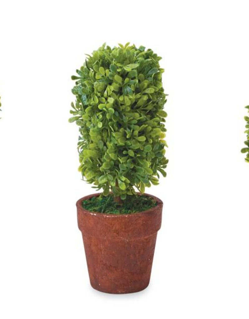 MUD PIE MINI BOXWOOD TOPIARY