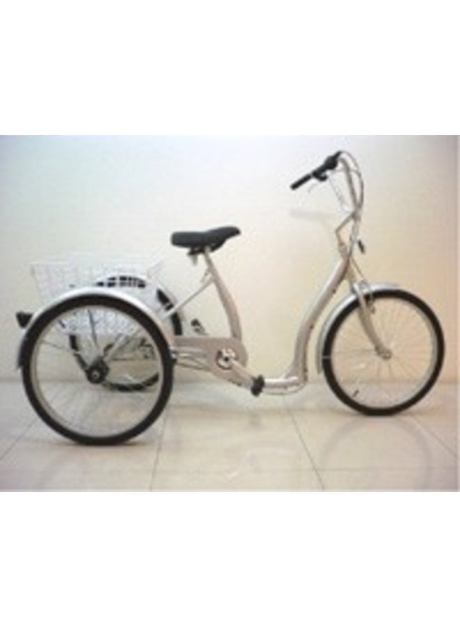 Genesis 24" Low Step Tricycle: 6-Speed Freewheel