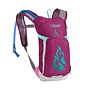 CAMELBAK MINI MULE 50OZ