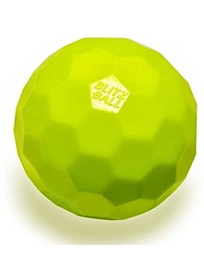 OFFICIAL BLITZBALL THE ULTIMATE BACKYARD BALL