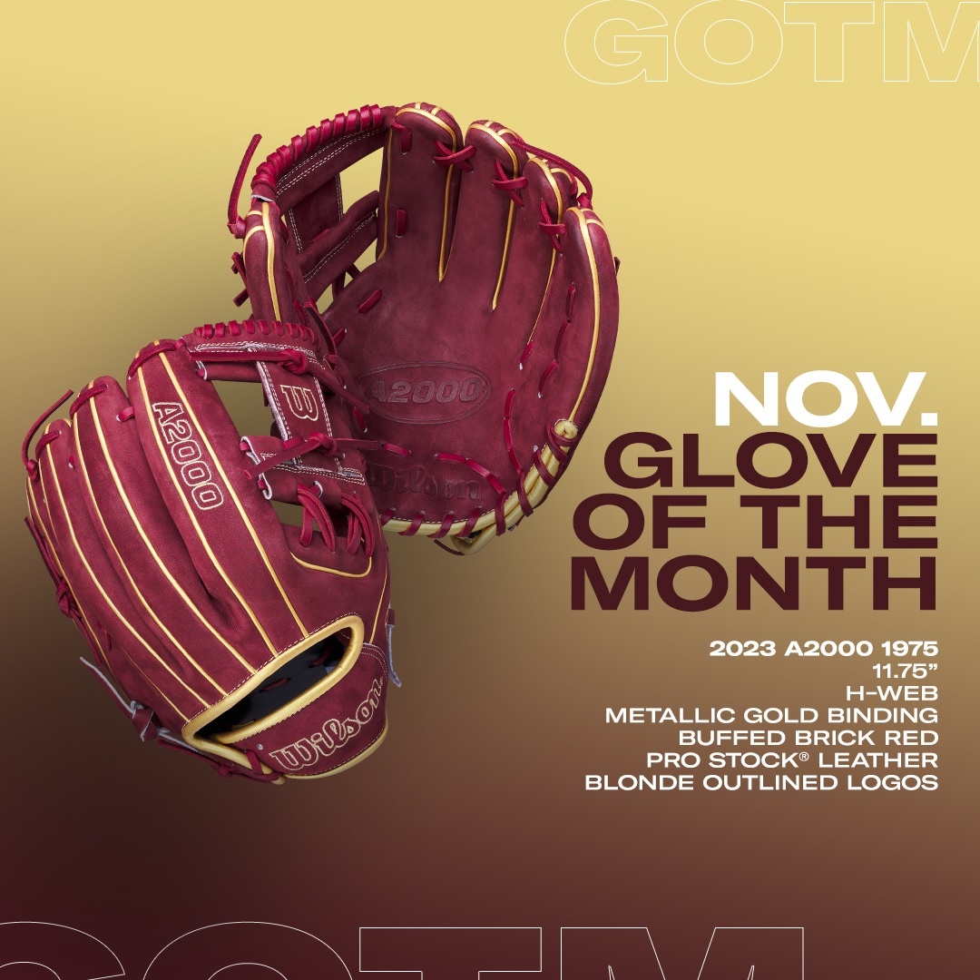 buy wilson glove of the month