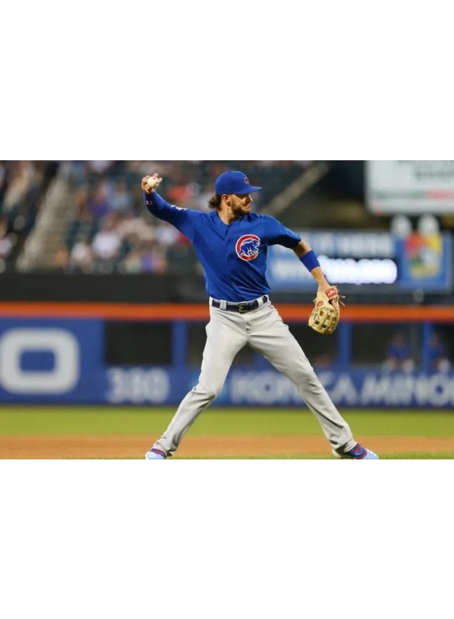 RAWLINGS SELECT PRO LITE 11.5"  GLOVE KRIS BRYANT