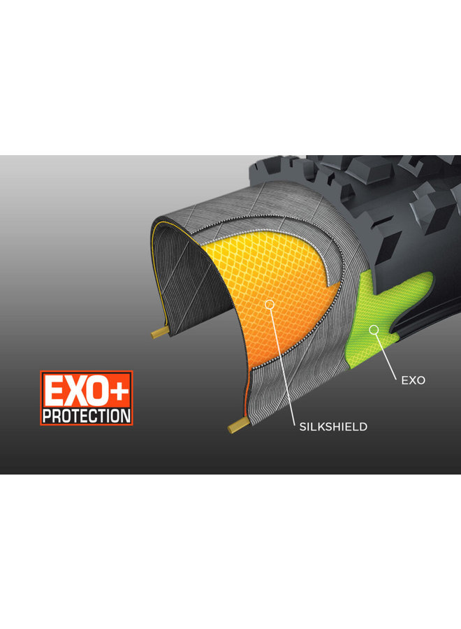 MAXXIS TIRE MOUNTAIN ASSEGAI 29X2.5 F120 3C MAXXGRIP EXO+ TR WT