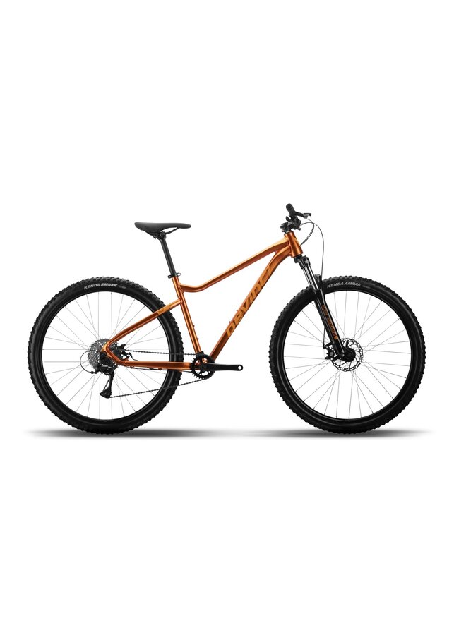 2025 DEVINCI RIFF ACERA 8S 29"