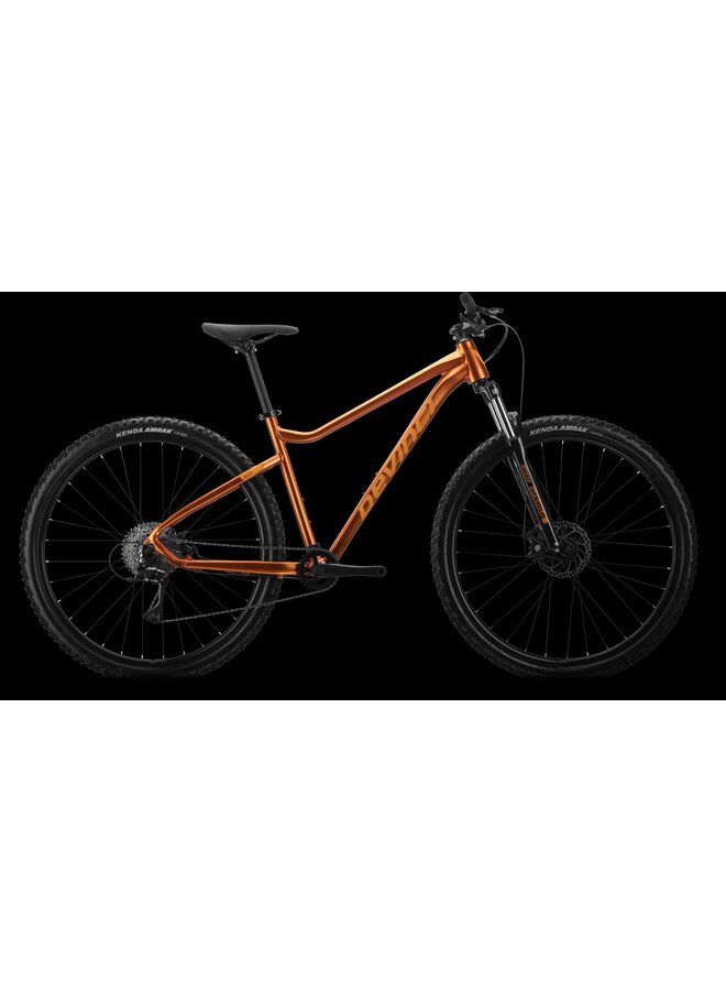 2025 DEVINCI RIFF ACERA 8S 29"