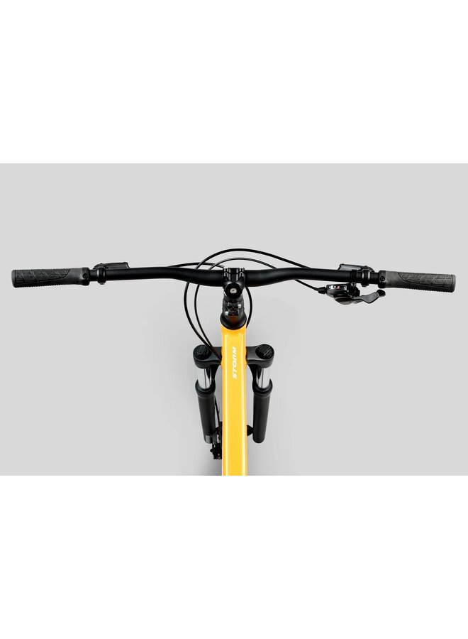 2025 NORCO STORM 100