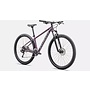 SPECIALIZED ROCKHOPPER 29