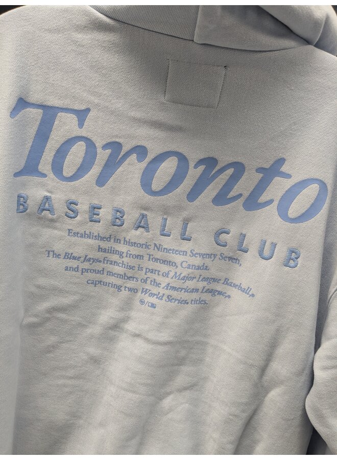 47 BRAND MLB MONDO HOODIE