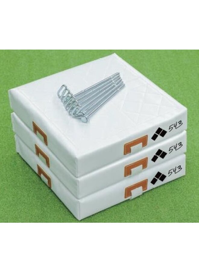 543 BASE SET 3 BASES