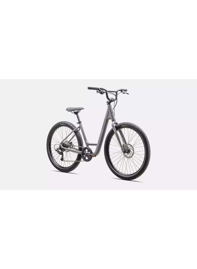 SPECIALIZED ROLL 2.0 LOW ENTRY CLGRY/SMK MED