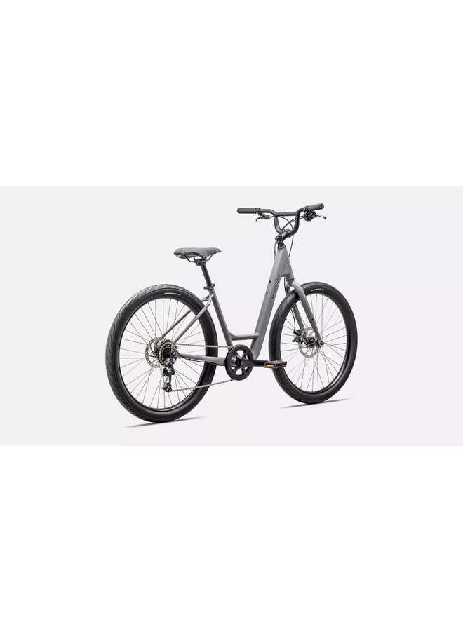 SPECIALIZED ROLL 2.0 LOW ENTRY CLGRY/SMK MED