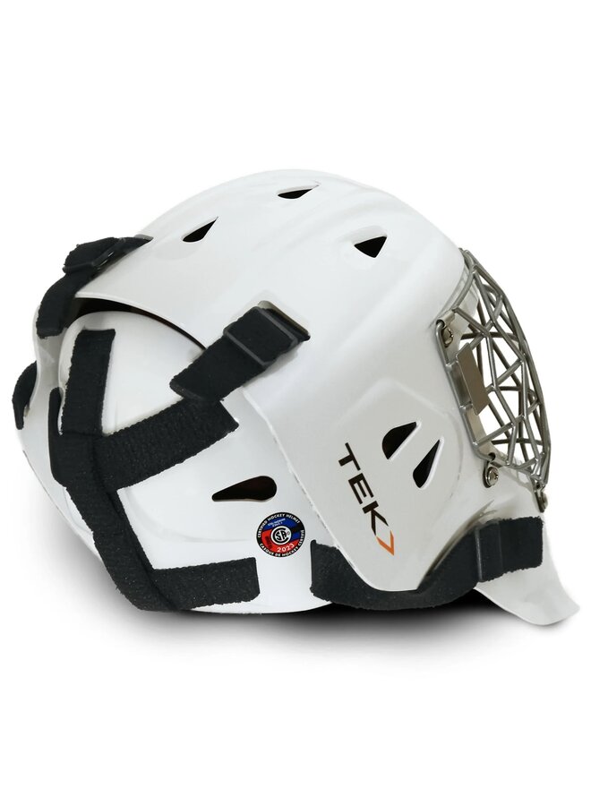 POWERTEK V3.0 RINGETTE GOAL MASK SENIOR