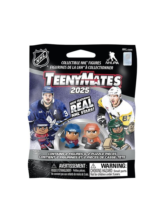 NHL TEENYMATES EACH