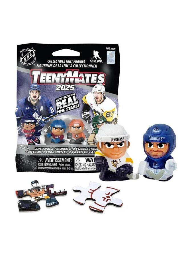 NHL TEENYMATES EACH