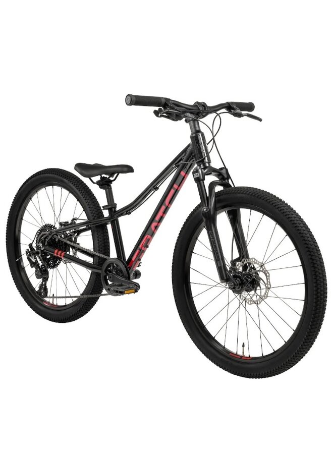 2025 BATCH 24" KIDS DISC BRAKE MTB BIKE