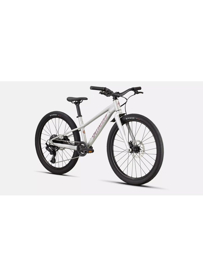 SPECIALIZED RIPROCK 24 Gloss Dolomite Metallic 24"
