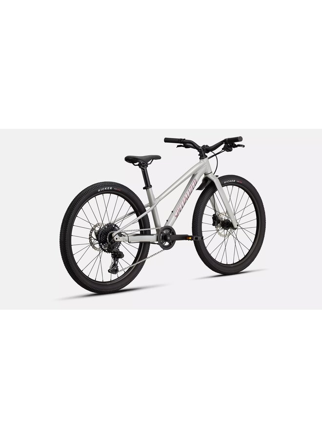 SPECIALIZED RIPROCK 24 Gloss Dolomite Metallic 24"