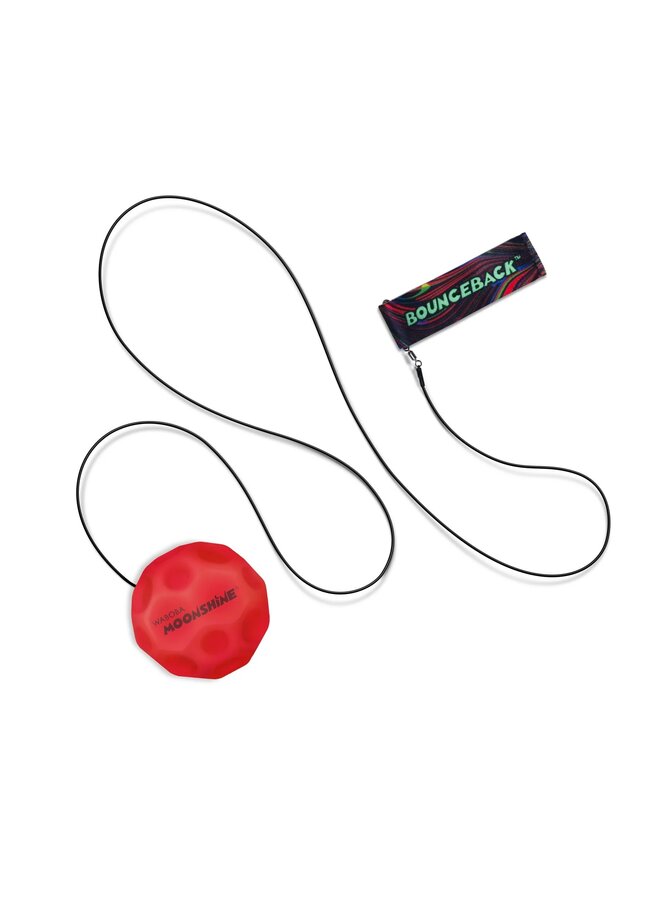 Waboba Moonshine Light Up Moon Ball on a leash