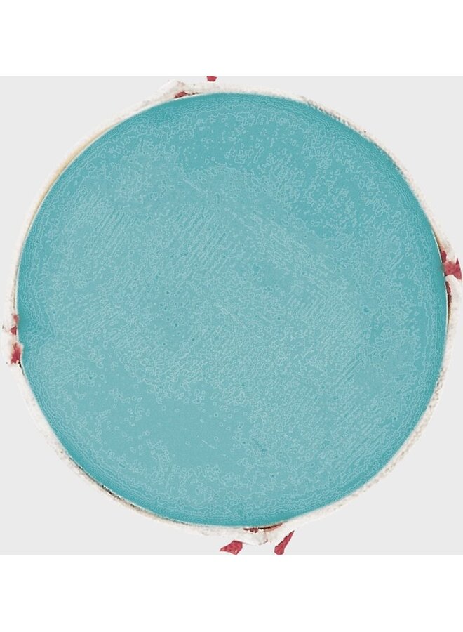 RAWLINGS BASEBALL ROTB5