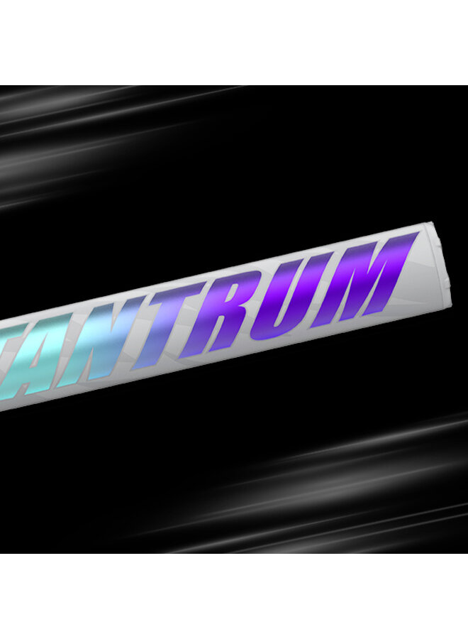 2026 EASTON TANTRUM 12.5" 2 PC SOFTBALL BAT GREY