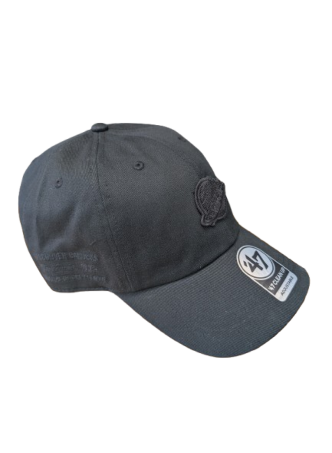 47 BRAND NHL CONTEMPORARY TT CLEAN UP HAT OSFM