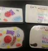 Animal and Plant Cell Construction Kit (Download in Description)