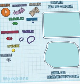 Animal and Plant Cell Construction Kit
