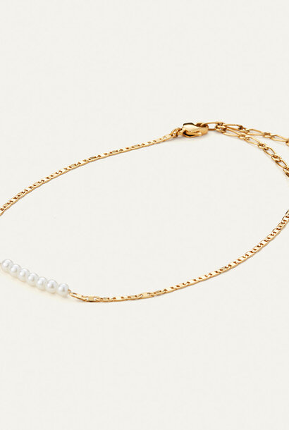 Delphine Anklet