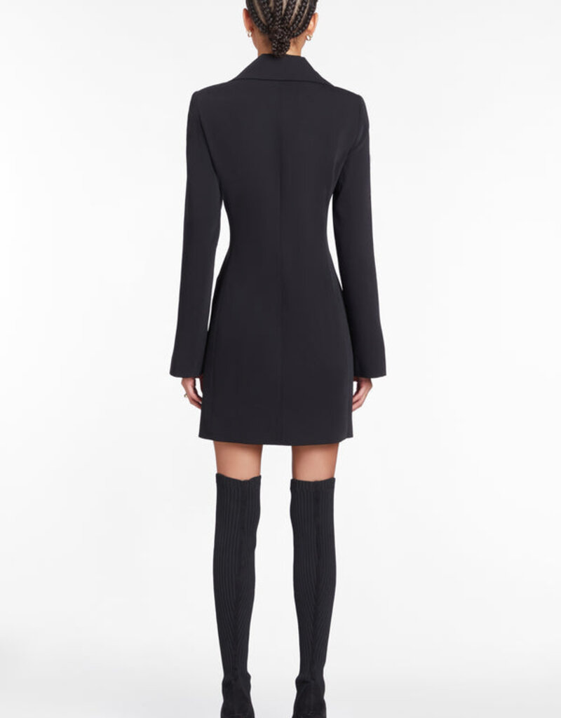 Discover our locally-made Blazer Dress - Black – SOMEFANCYNAME