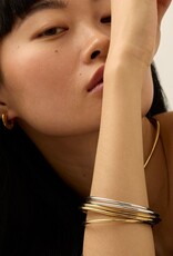 Jenny Bird Dane Bangle Set - 5pk Two-Tone 7"