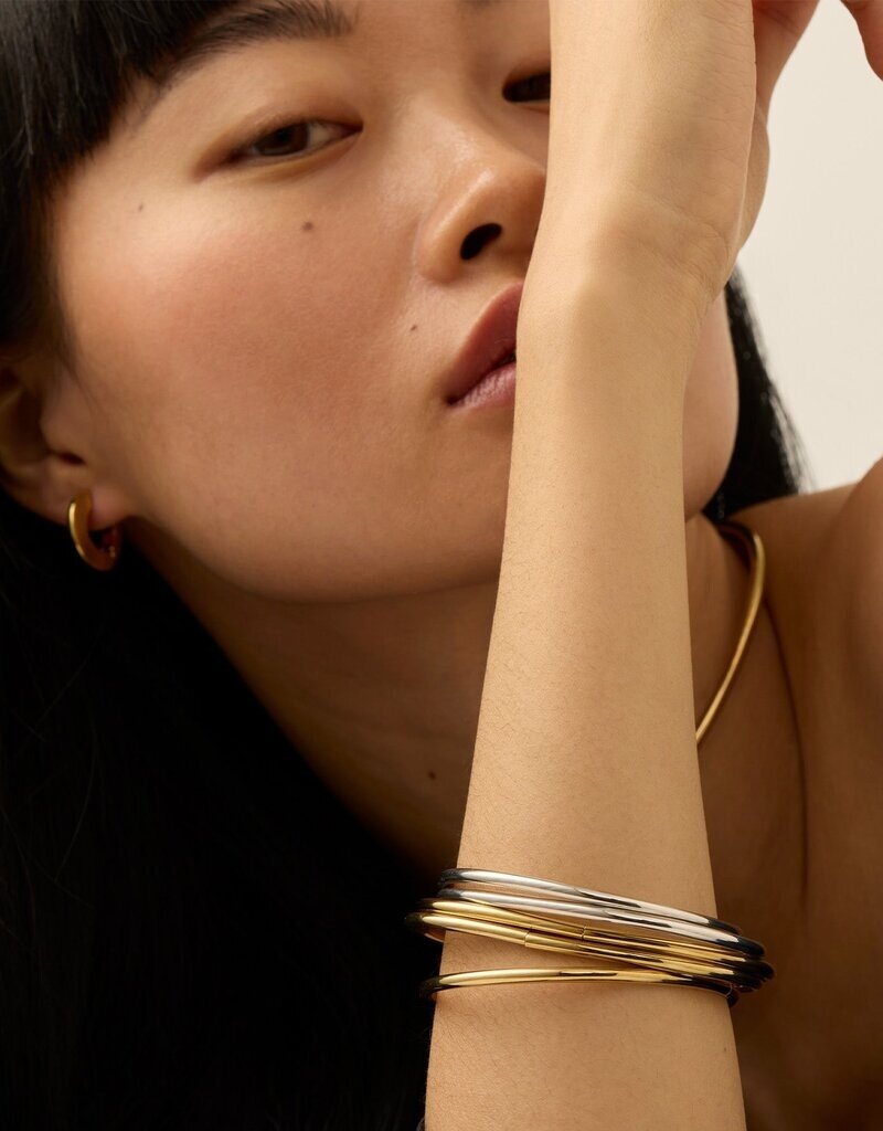 Jenny Bird Dane Bangle Set - 5pk Two-Tone 7"