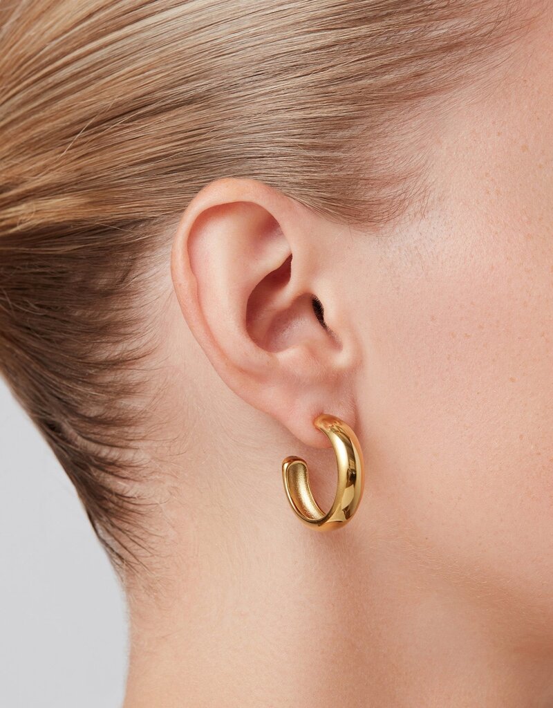 Jenny Bird Staple Hoops Medium