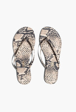 TKEES Lily Vegan Animal - Sandsnake