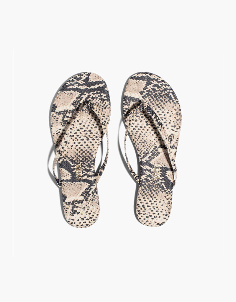 TKEES Lily Vegan Animal - Sandsnake
