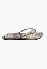 TKEES Lily Vegan Animal - Sandsnake