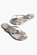 TKEES Lily Vegan Animal - Sandsnake