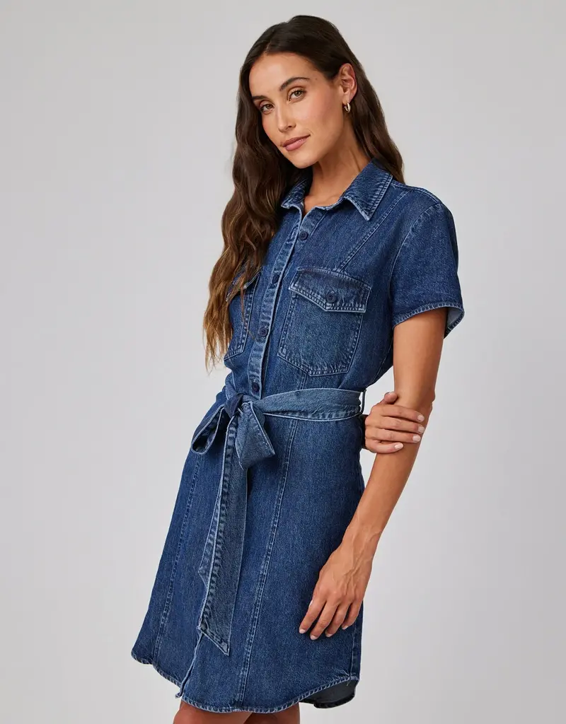 Bella Dahl Short Sleeve Seamed Shirt Dress