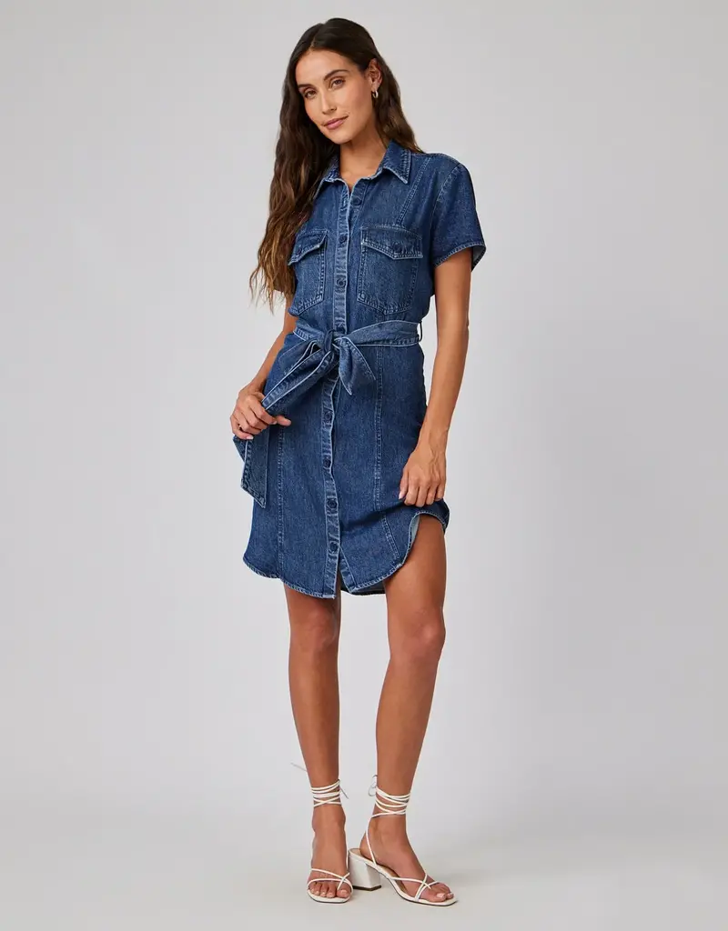 Bella Dahl Short Sleeve Seamed Shirt Dress