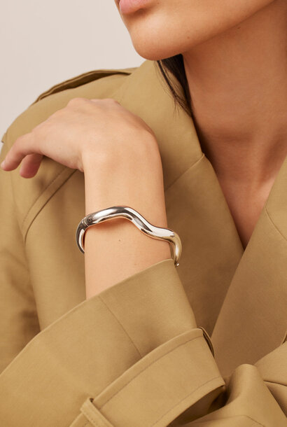 Ola Bangle