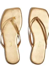 TKEES Square Toe Lily - Blink