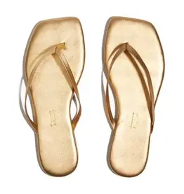 TKEES Square Toe Lily - Blink