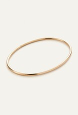 Jenny Bird Dane Anklet - Gold