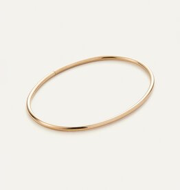 Jenny Bird Dane Anklet - Gold