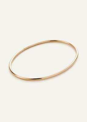 Jenny Bird Dane Anklet - Gold