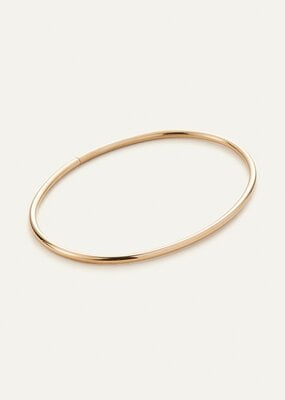 Jenny Bird Dane Anklet