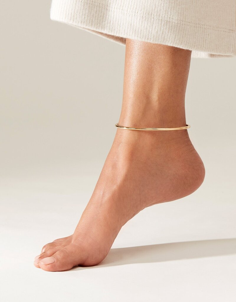 Jenny Bird Dane Anklet - Gold