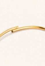 Jenny Bird Dane Anklet - Gold