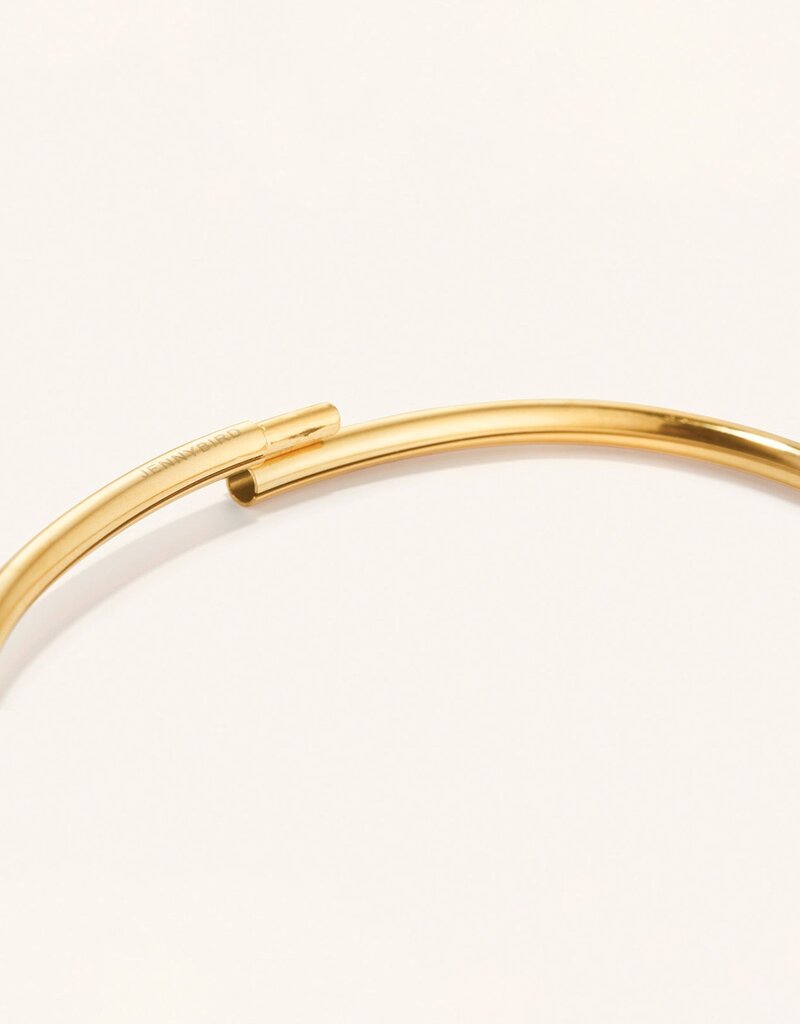 Jenny Bird Dane Anklet - Gold