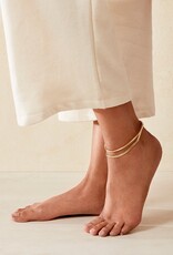 Jenny Bird Dane Anklet - Gold