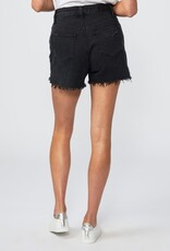 Paige Dani Short - Dark Raven Destructed